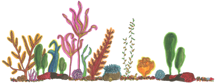 Footer Image